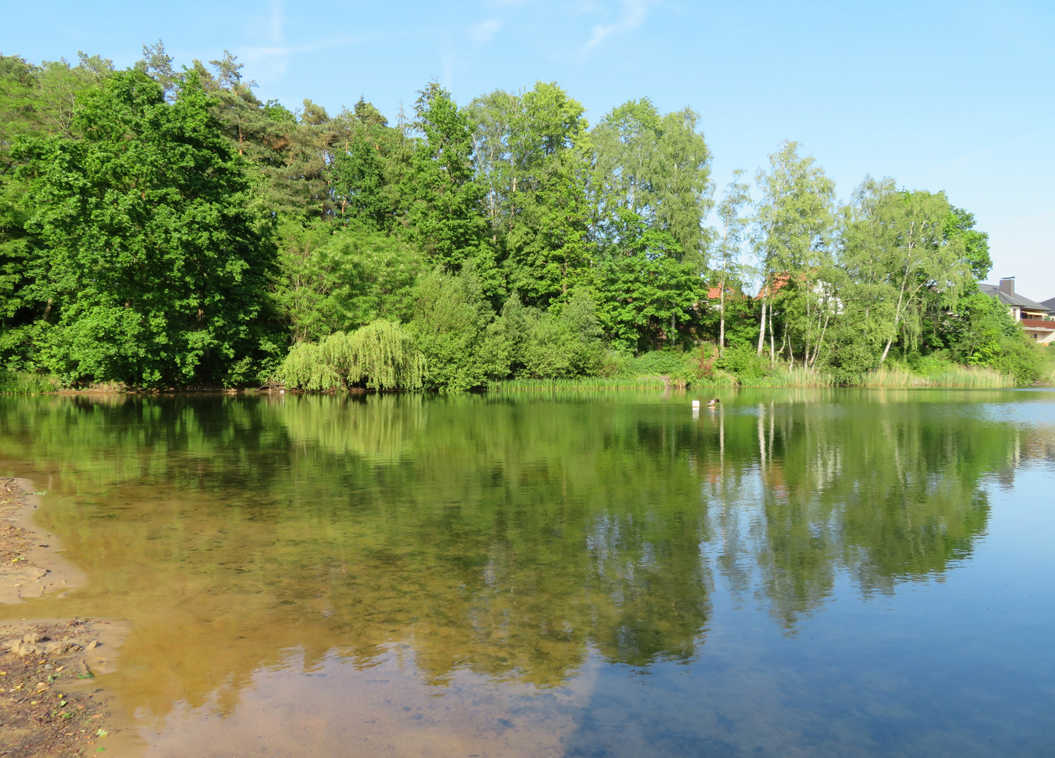 ein schöner Tag am See ... 