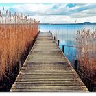 Ein schöner Tag am Steinhuder Meer