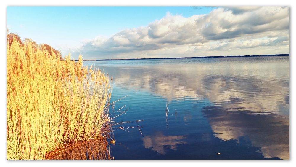 Ein schöner Tag am Steinhuder Meer