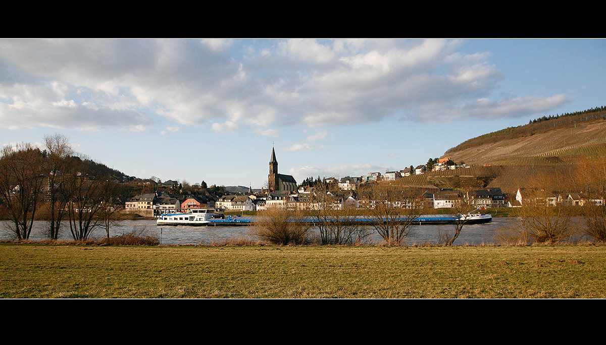 ...ein schöner Tag an der Mosel, der Frühling kann kommen......