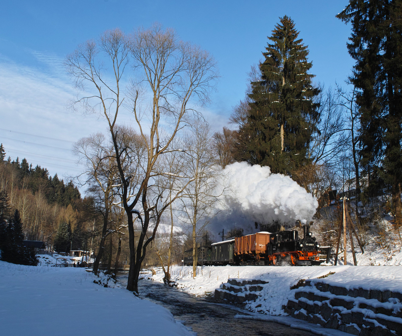 Ein schöner Tag an der Preßnitztalbahn ...