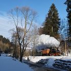 Ein schöner Tag an der Preßnitztalbahn ...