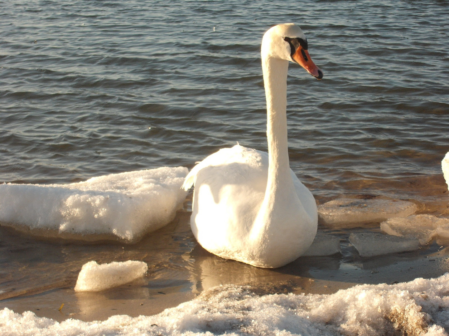 Ein schöner Tag an der See