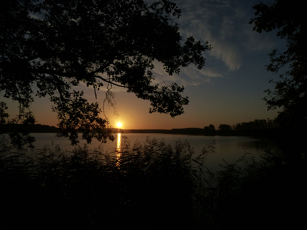 Ein schöner Tag beginnt am Feisnecksee