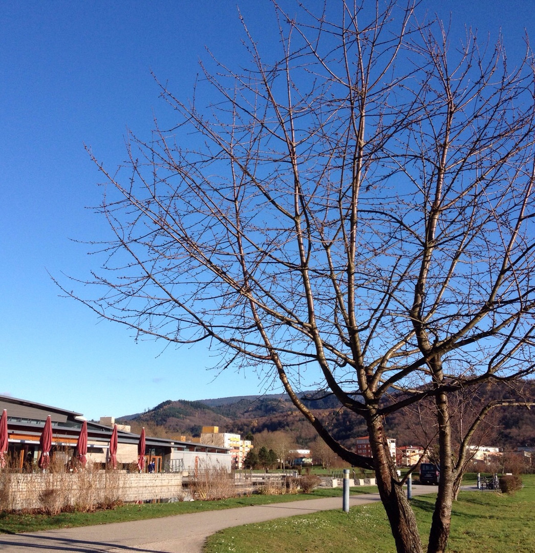 Ein schöner Tag blauer Himmel und sonst annehmbare Temperaturen