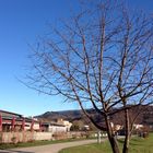 Ein schöner Tag blauer Himmel und sonst annehmbare Temperaturen