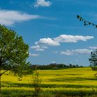 ... ein schöner Tag im Frühling ...