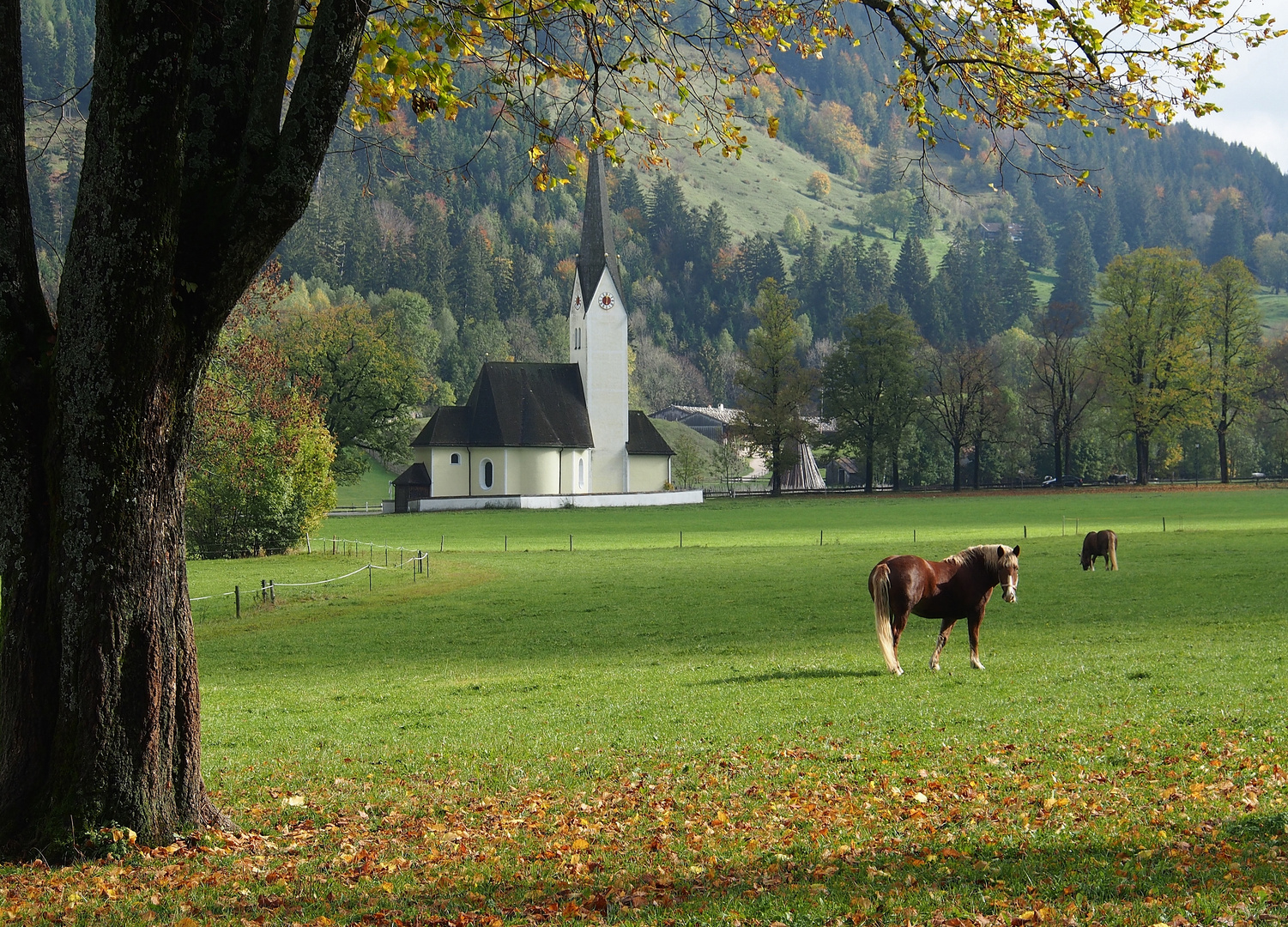 ein schöner Tag im Herbst