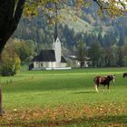 ein schöner Tag im Herbst