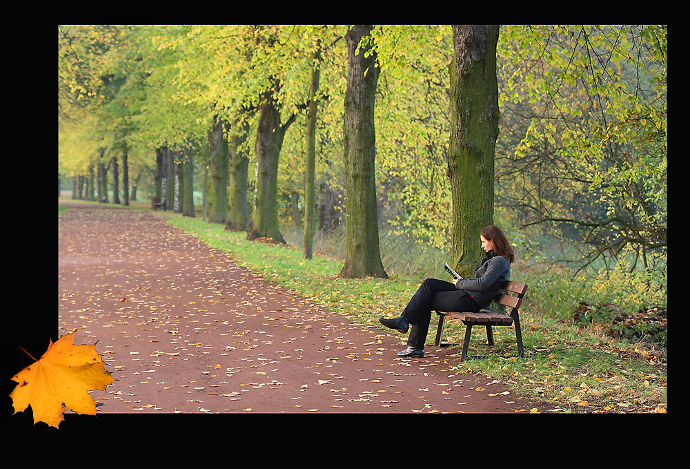 Ein schöner Tag im Herbst