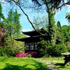 Ein schöner Tag im Japanischem Garten