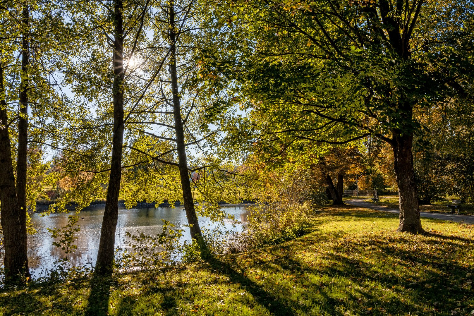 Ein schöner Tag im Park 