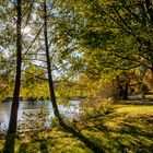 Ein schöner Tag im Park 