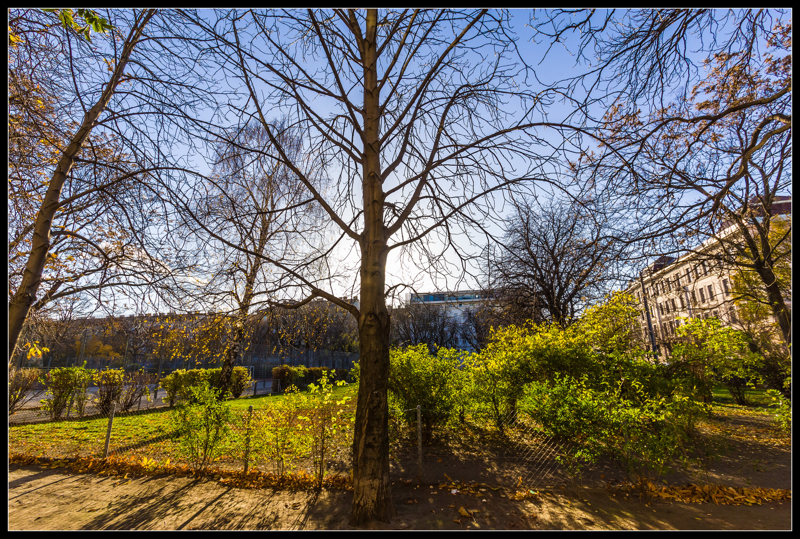 Ein schöner Tag im Park