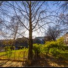 Ein schöner Tag im Park