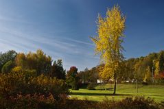 Ein schöner Tag im Park oder ...