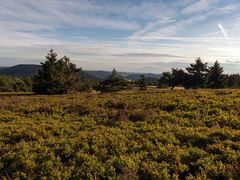 Ein schöner Tag im Sauerland