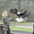 ... ein schöner Tag im Tierpark Sababurg...