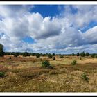 Ein schöner Tag in der Heide