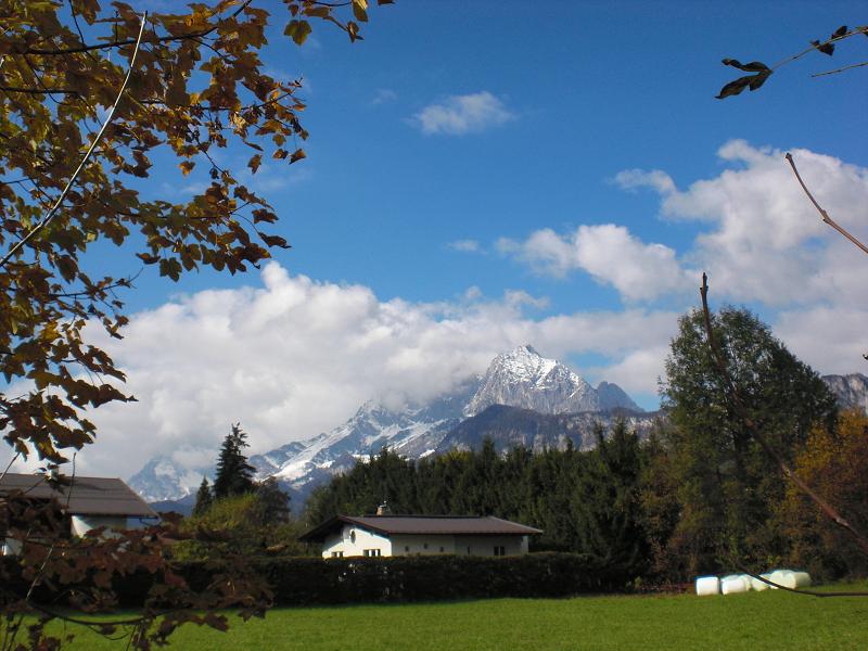 Ein schöner Tag in der Natur