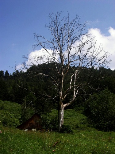 EIn schöner Tag in Österreich