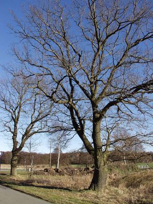 Ein schöner Tag, komm Welt lass dich umarmen.