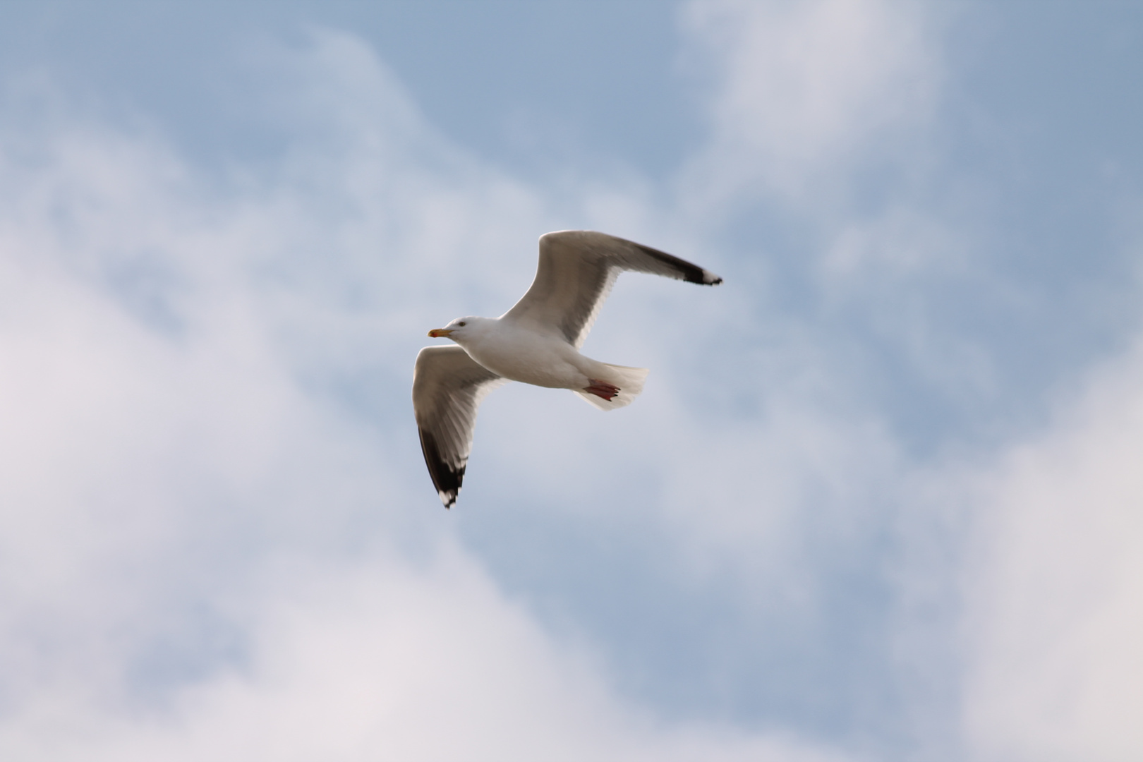 Ein schöner Tag zum fliegen...