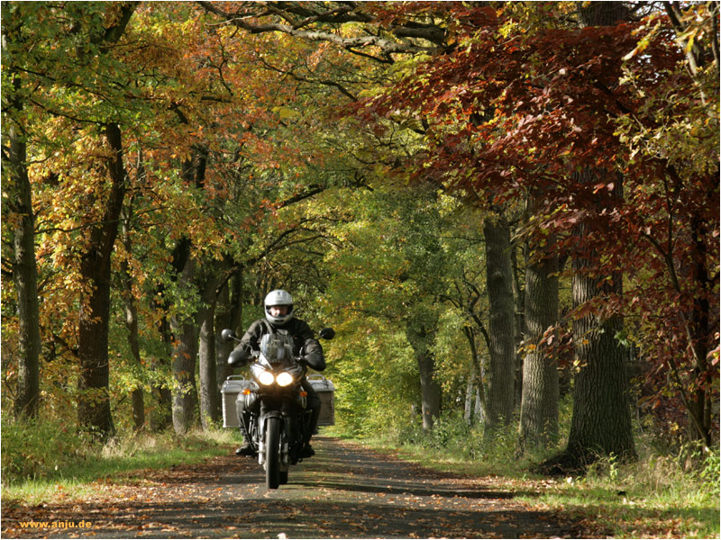 ein schöner Tag zum Motorradwandern