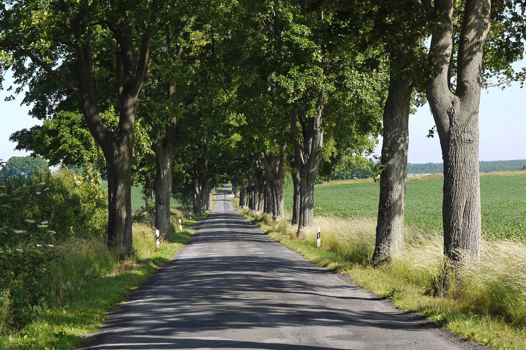 Ein schöner Teil von Mecklenburg