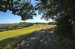 Ein schöner Wanderweg 