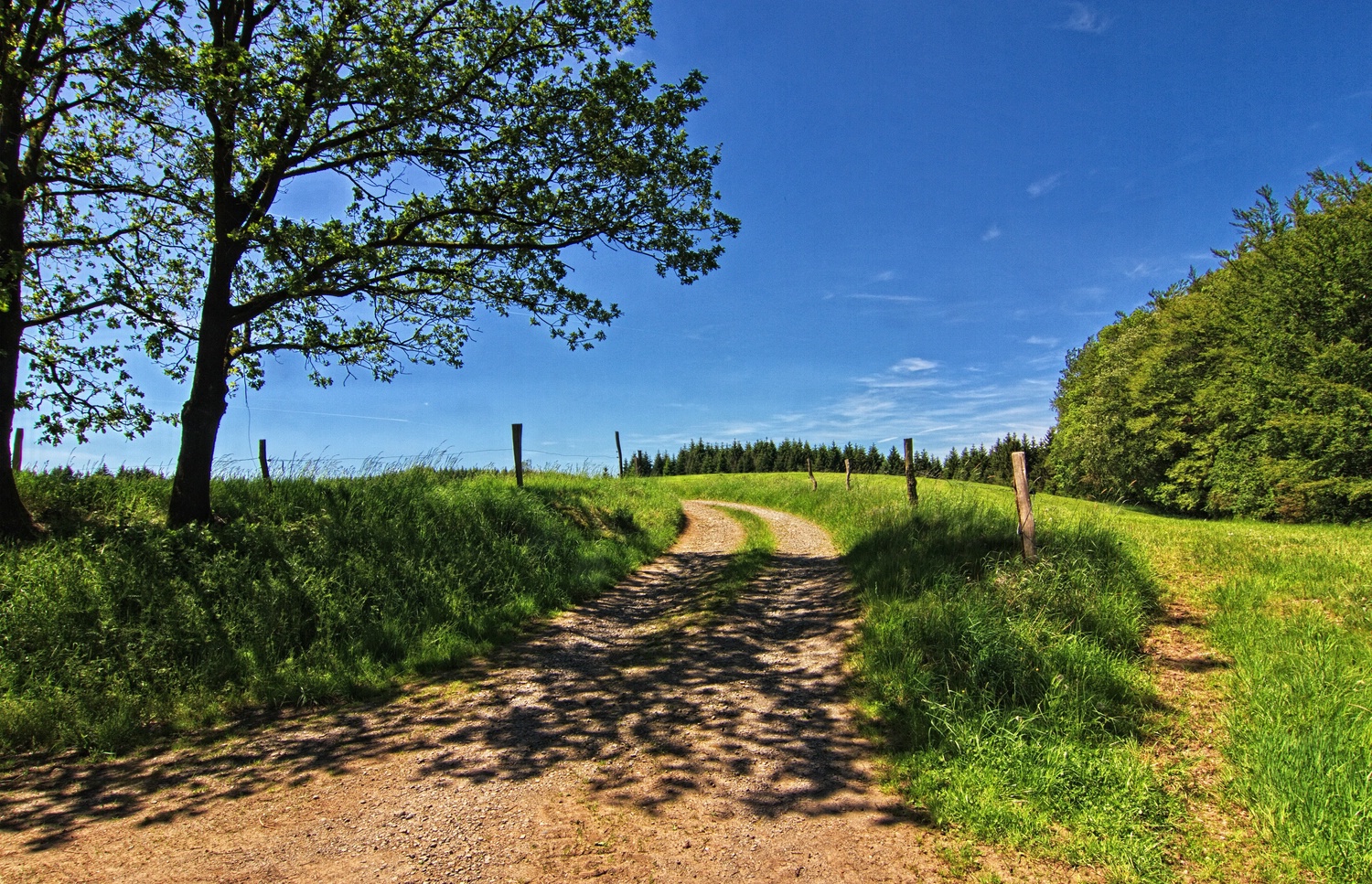 Ein schöner Wanderweg