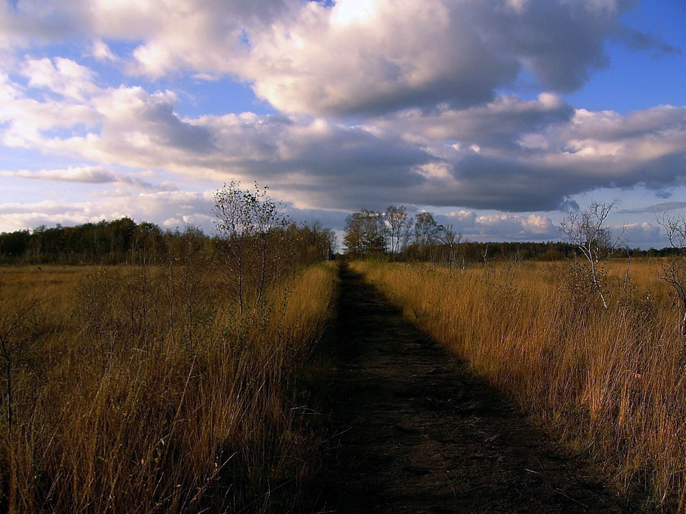 Ein schöner Weg”