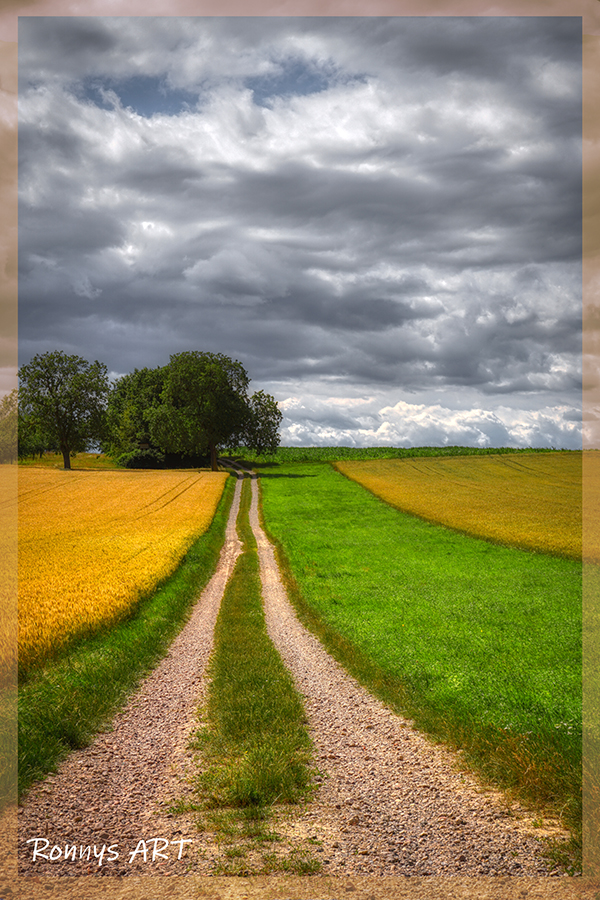 Ein schöner Weg