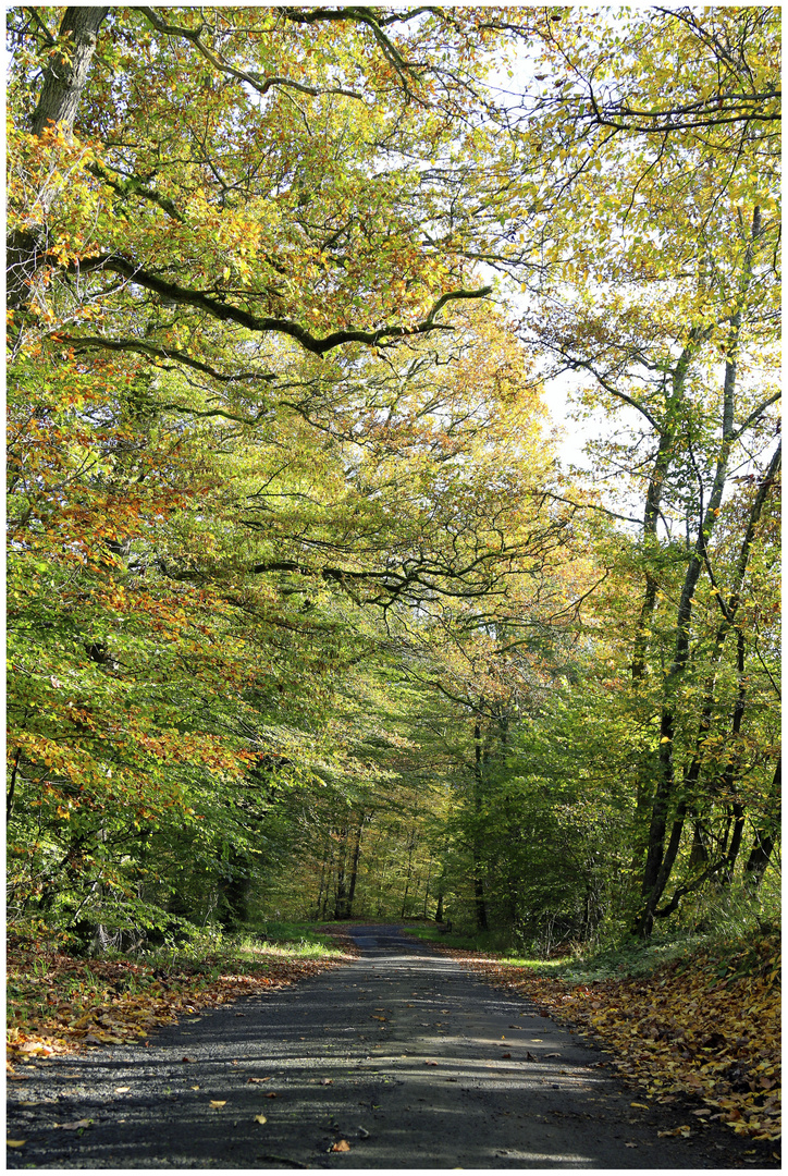 Ein schöner Weg