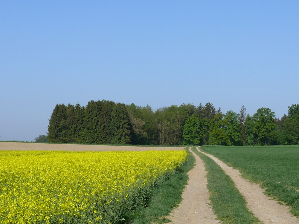 Ein schöner Weg...