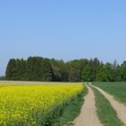 Ein schöner Weg...