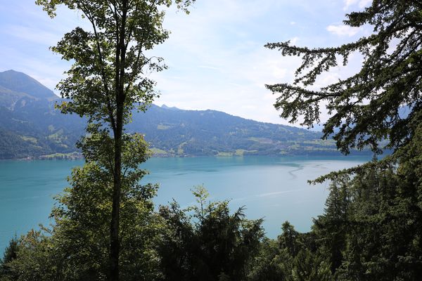 Ein schöner Weg da hoch