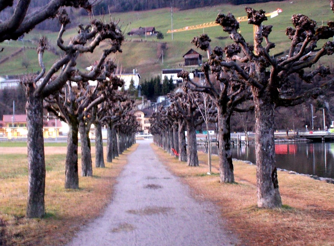 Ein schöner Weg in Alpnach