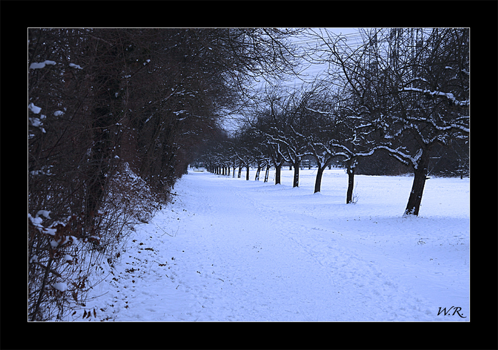 ein schöner Weg nach Daxlanden bei Karlsruhe....