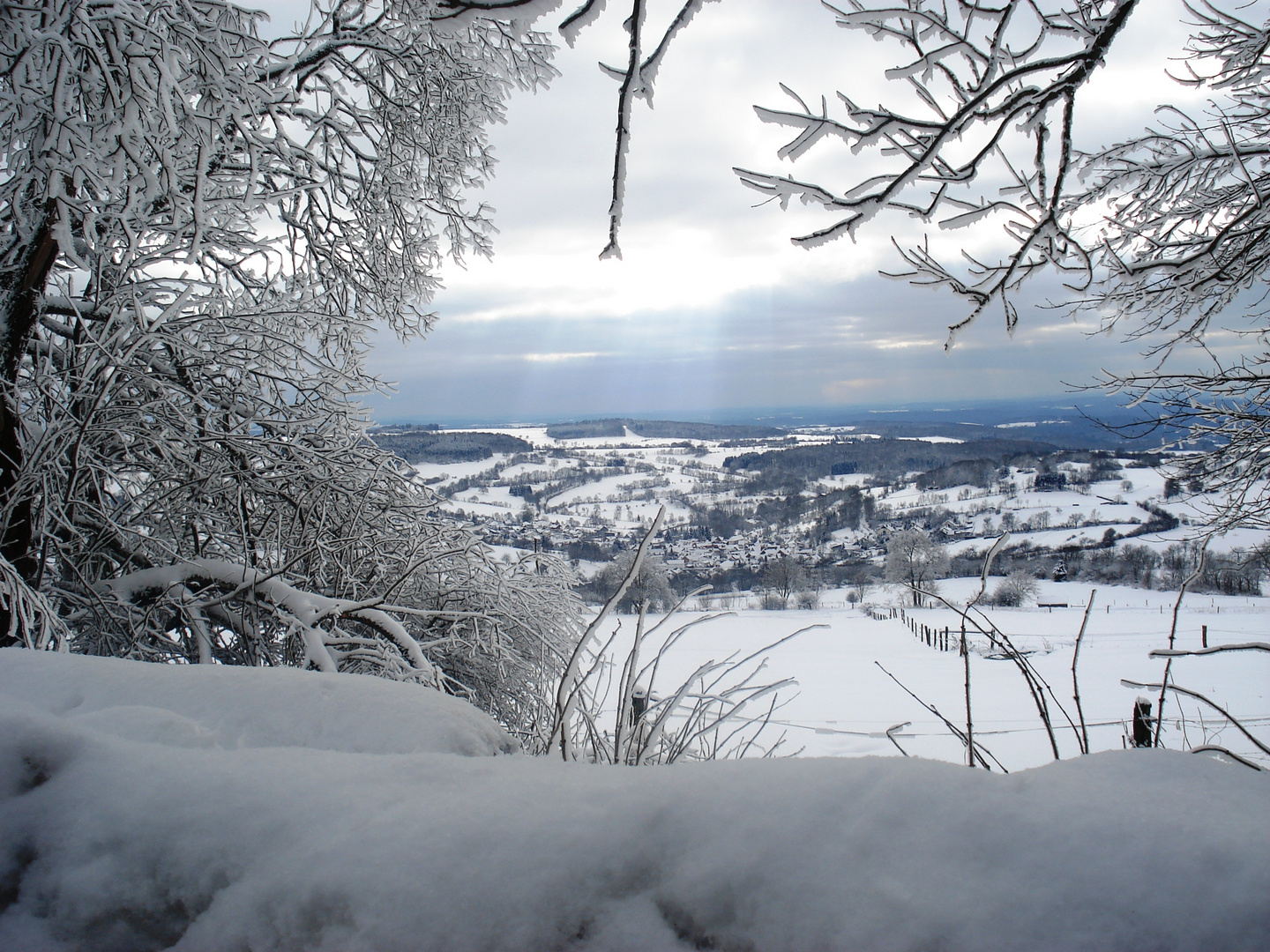 Ein schöner Winter