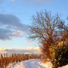 Ein schöner Winterabend