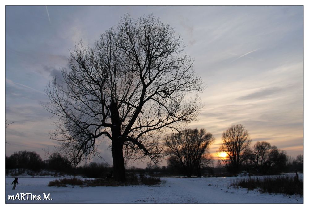 Ein schöner Winterabend