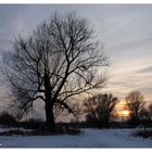 Ein schöner Winterabend