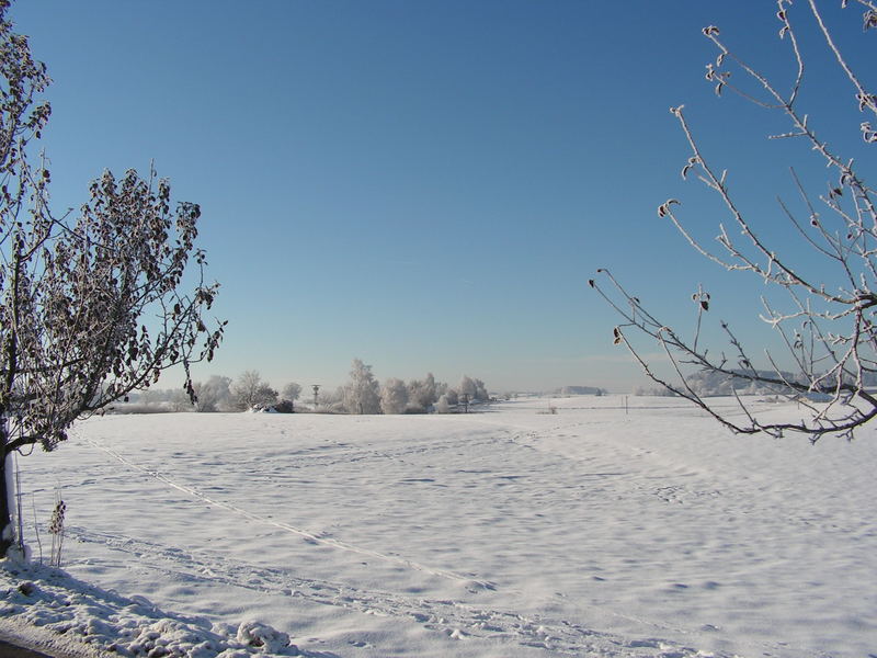 Ein schöner Wintermorgen