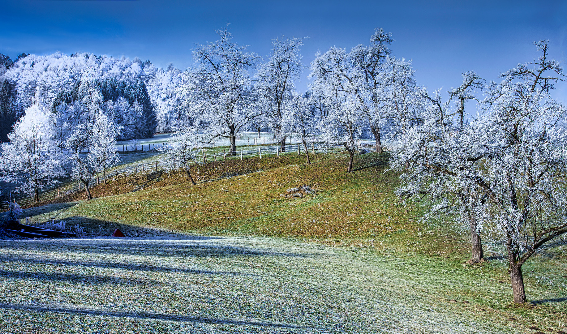 Ein schöner Wintermorgen