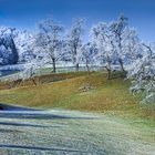 Ein schöner Wintermorgen