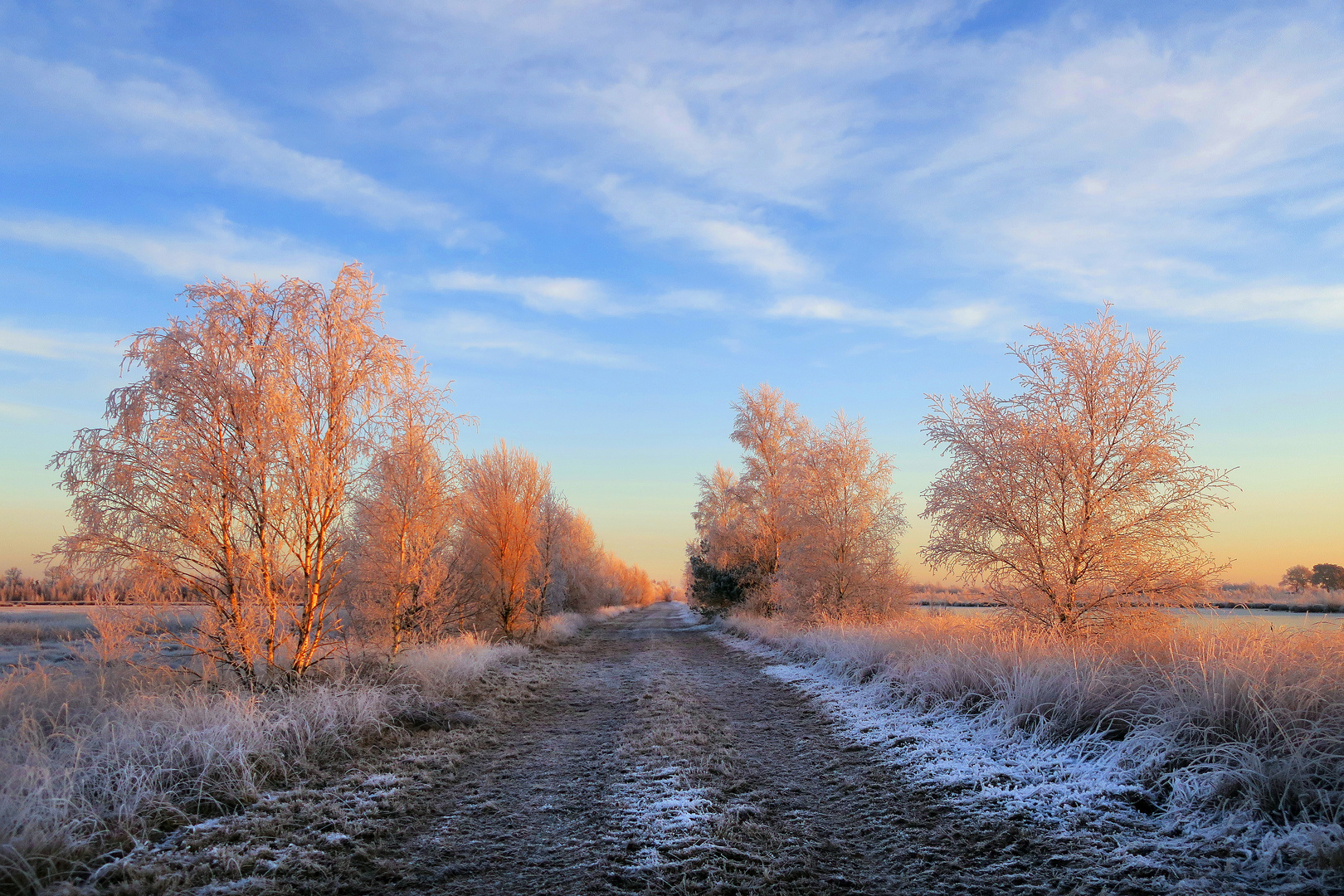 Ein schöner Wintermorgen