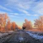 Ein schöner Wintermorgen