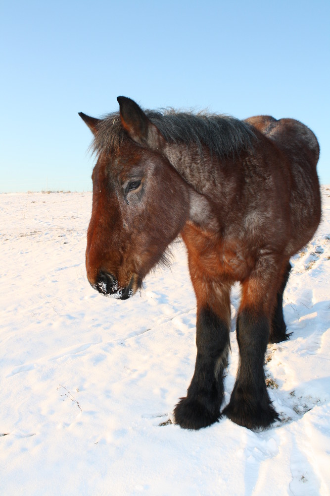 Ein schöner Wintertag