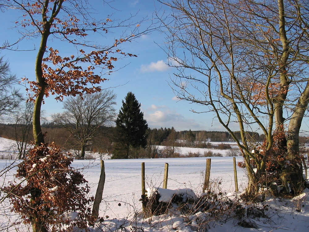 Ein schöner Wintertag